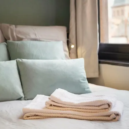 Apartment Hypercentre, Calme, Cosy, Parking Gratuit, Netflix Gratuit Toulouse